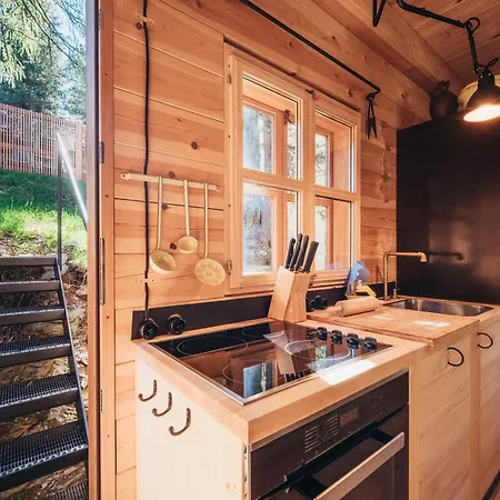 Chalet Hollmann Am Berg Ski-in Ski-out *