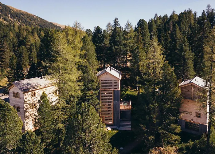 Hollmann Am Berg Ski-in Ski-out *